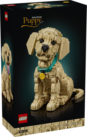 Golden Retriever Welpe