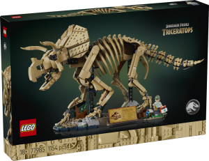 Dinosaurier-Fossilien: Triceratops